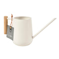 Stone Finish Indoor Watering Can