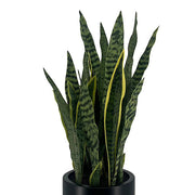 Faux Snake Plant — 30 Inch