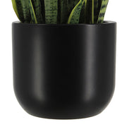 Faux Snake Plant — 30 Inch
