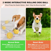 Motion-Activated Rolling Plush Pet Ball