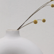 Arch-Form Matte Ceramic Vase
