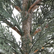 Flocked Cedar Accent Tree, 36 in