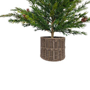 Artificial Pine Tree in Wired Basket, 36 in