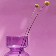 Frosted Glass Sculptural Vase