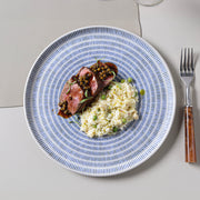 Speckled Ceramic Dinner Plate Set