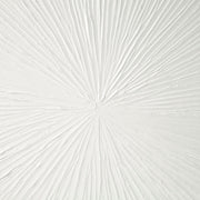 Gloss Resin Dimensional Burst Wall Art