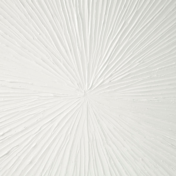 Gloss Resin Dimensional Burst Wall Art