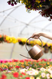 Hammered Copper-Finish Iron Watering Can
