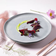Speckled Ceramic Dinner Plate Set