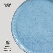 Speckled Ceramic Dinner Plate Set