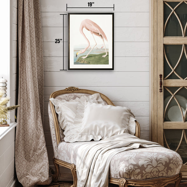 Vintage Flamingo Framed Art Print