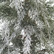 Flocked Artificial Cedar Tree, 4 ft