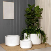 Cylindrical Outdoor Planter
