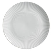 Speckled Ceramic Dinner Plate Set