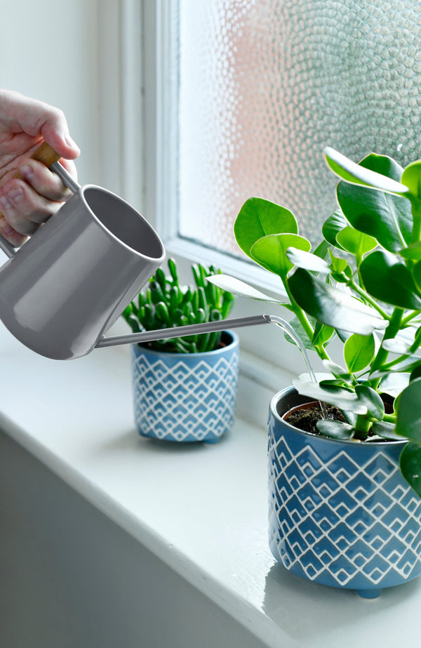 Charcoal Metal Indoor Watering Can