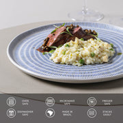 Speckled Ceramic Dinner Plate Set