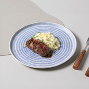 Speckled Ceramic Dinner Plate Set