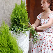 Ripple-Texture Resin Tall Planter Set