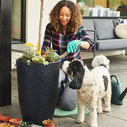 Stone-Finish Tall Planter Set
