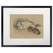 Vintage Sketch Dogs Framed Print