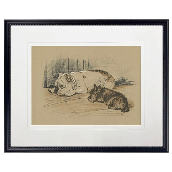 Vintage Sketch Dogs Framed Print