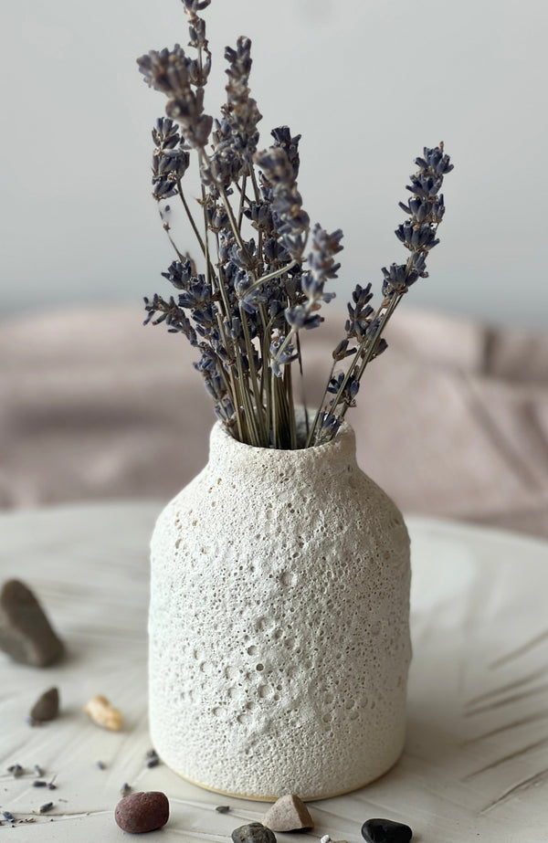 Crater-Glaze Porcelain Vase Collection