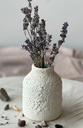 Crater-Glaze Porcelain Vase Collection