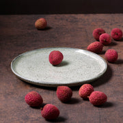 Speckled Ceramic Dinner Plate Set