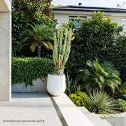 Flared-Base Indoor Outdoor Planter