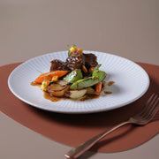 Speckled Ceramic Dinner Plate Set