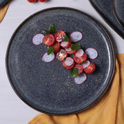 Speckled Ceramic Dinner Plate Set