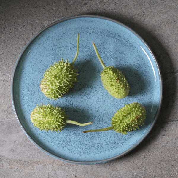 Reactive Glaze Dinner Plate Set