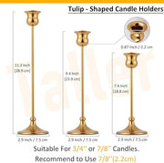 Gold Metal Taper Candlestick Holder Set