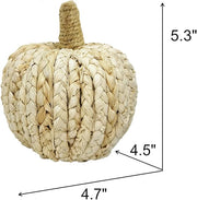 Braided Cornhusk Pumpkin Decor Set of 4