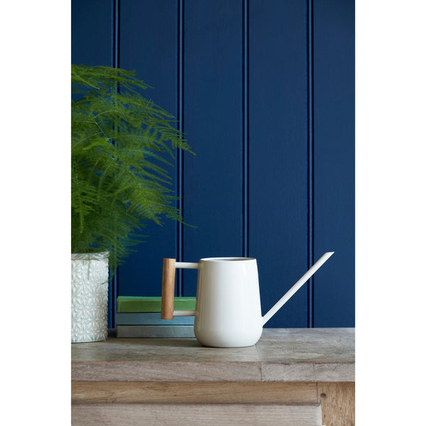 Stone Finish Indoor Watering Can