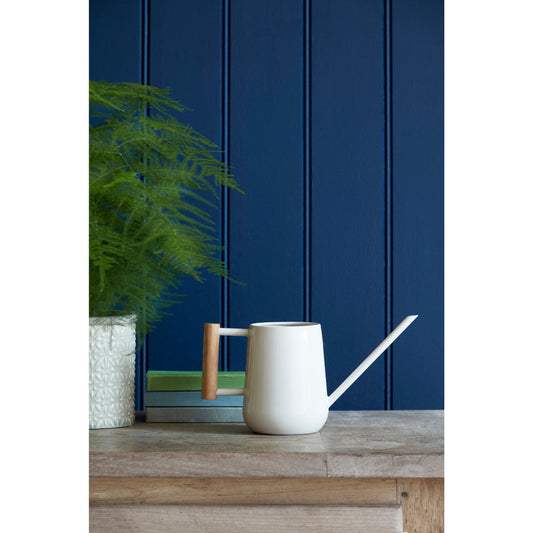 Stone Finish Indoor Watering Can