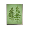 Botanical Fern Silver-Frame Print