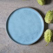 Speckled Ceramic Dinner Plate Set