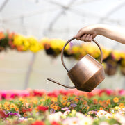 Hammered Copper-Finish Iron Watering Can