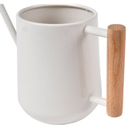 Stone Finish Indoor Watering Can