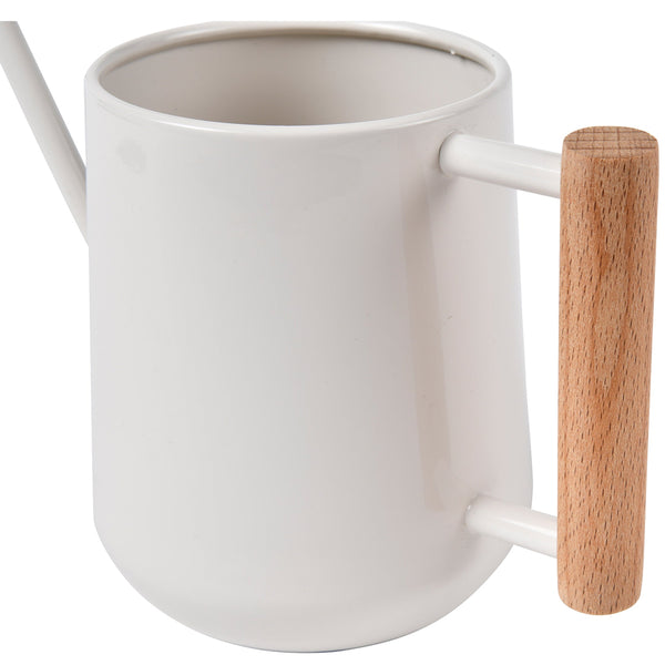 Stone Finish Indoor Watering Can