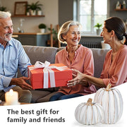 White Resin Pumpkin Decor Set