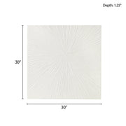 Gloss Resin Dimensional Burst Wall Art