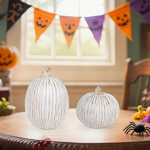 Two white pumpkins with vertical ridges, round