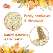 Braided Cornhusk Pumpkin Decor Set of 4