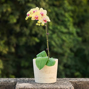 Travertine-Texture Resin Planter Pot