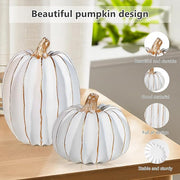 White Resin Pumpkin Decor Set