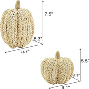 Woven Cornhusk Pumpkin Decor Set