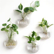 Wall-Hung Glass Propagation Vase Set