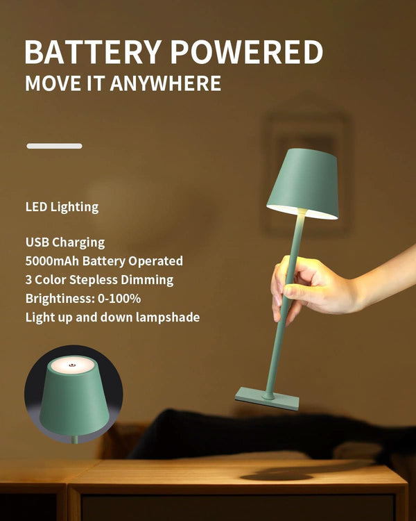 Cordless Dimmable LED Table Lamp Set
